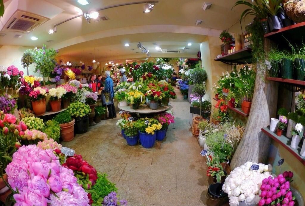 花店华球球赛效果图