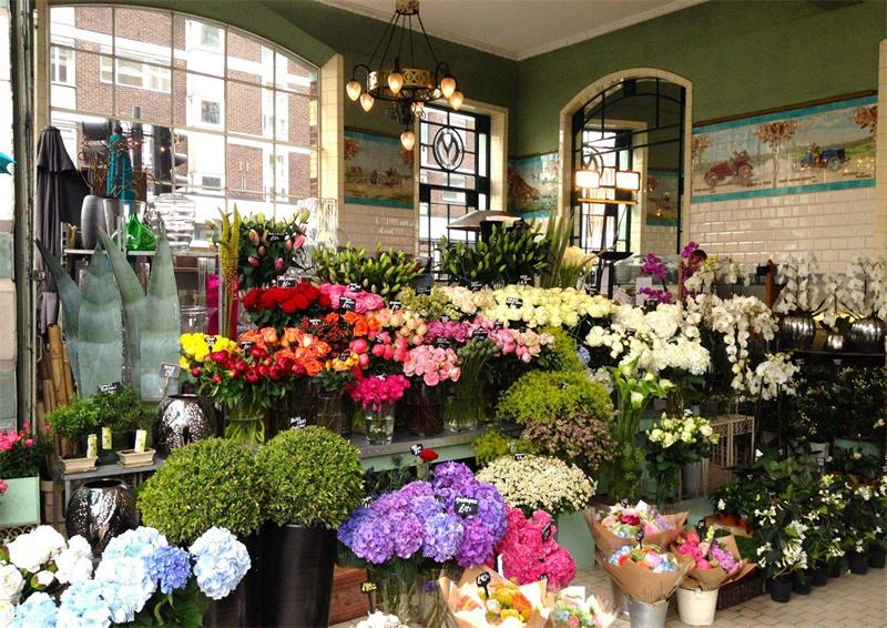 花店华球球赛效果图